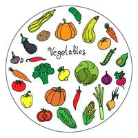 Vector hand drawn illustration of colored vegetables on a plate in cartoon style. A set of vegetables to decorate dishes, fabrics and household items.