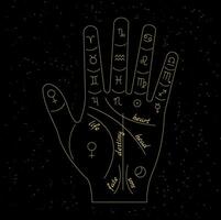 Palmistry and hieromancy. Hand lines and their meanings. Celestial and mystical astrology. Magical vector illustration.