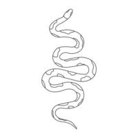 serpiente. aislado serpiente en blanco antecedentes. vector