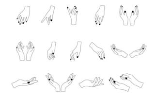 Hands poses. Set of different female hands poses. vector