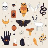 Witchy magic set. Set of witchcraft items. Collection of witchy magic and esoteric equipment. Vector illustration of mythical elements.