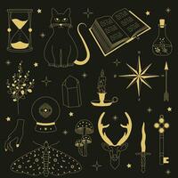 Witchy magic set. Set of witchcraft items. Collection of witchy magic and esoteric equipment. Vector illustration of mythical elements.