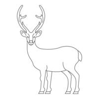 Deer. Isolated deer on white background. vector