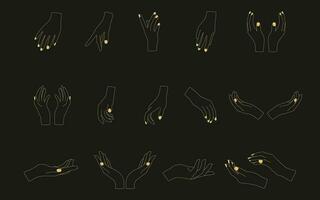 Hands poses. Set of different female hands poses. vector