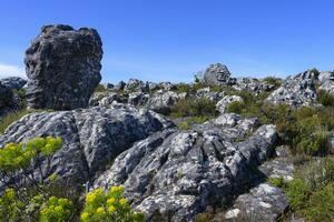 Rock formation, Table Mountain top, Cape Town, South Africa photo