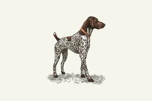 vector illustration of a hunting dog in vintage style