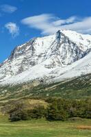 torres del paine nacional parque, chileno Patagonia, Chile foto