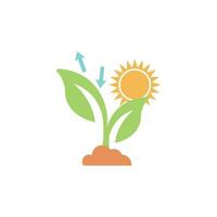 photosynthesis icon vector