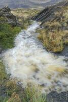 Stream, Torres del Paine National Park, Chilean Patagonia, Chile photo