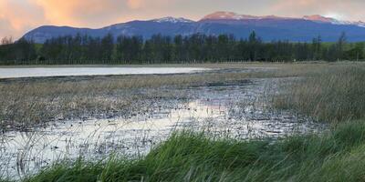 Elizade lake, Coyhaique, Aysen Region, Patagonia, Chile photo