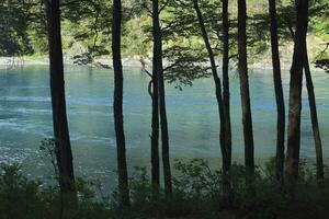 Baker River, Puerto Bertrand, Cochrane, Aysen Region, Patagonia, Chile photo