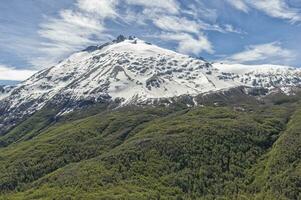 Laguna San Rafael National Park, Aerial view, Aysen Region, Patagonia, Chile photo