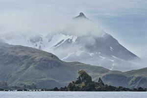 Undine Harbour, South Georgia, South Georgia and the Sandwich Islands, Antarctica photo