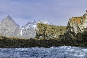 Undine Harbour, South Georgia, South Georgia and the Sandwich Islands, Antarctica photo