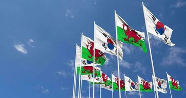 wales och söder korea flaggor vinka tillsammans i de himmel, sömlös slinga i vind, Plats på vänster sida för design eller information, 3d tolkning video