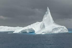 Cooper Bay, Floating Icebergs, South Georgia, South Georgia and the Sandwich Islands, Antarctica photo