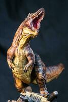 tirano saurio Rex tiranosaurio dinosaurio en el oscuro foto