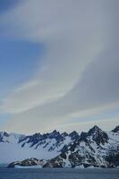 Drygalski Fjord, Floating Icebergs, South Georgia, South Georgia and the Sandwich Islands, Antarctica photo