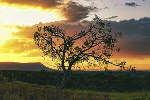 Sunset over Serra da Canastra Mountains, Minas Gerais state, Brazil photo