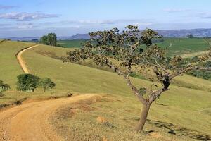 Serra da Canastra landscape, Sao Roque das Minas, Minas Gerais state, Brazil photo