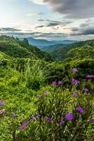 landscape of mountain beautiful countryside of Thailand photo