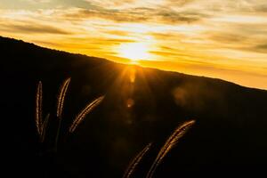 Pha Deaw Dai Cliffs of The Khao Yai National Park in Thailand photo