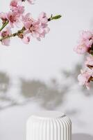 Empty podium or pedestal for cosmetics product decorated with cherry blossom twigs. Spring cosmetic template photo