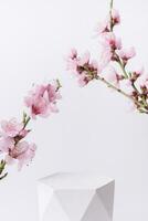 Empty white podium or pedestal for cosmetics product with cherry blossom twigs. Sring cosmetic template photo