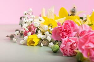 Spring flowers of narcissus, gypsophila and willow on a colored background photo
