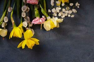 Daffodils and willow on dark cement background with copy space. Spring Easter background top view, flat lay. photo