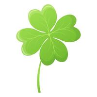 Four leaf clover, st Patric day element isolated on white vector