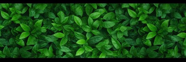 ai generado verde hojas antecedentes panorama ver foto