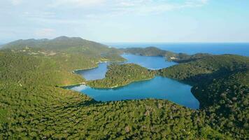 vue de mljet île dans Croatie. le nationale parc couvertures le occidental partie de le île, lequel beaucoup concerne comme le plus séduisant dans le adriatique, plein de luxuriant et varié méditerranéen végétation video