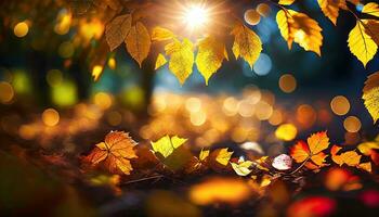 AI Generated close up of colorful autumn leaves illuminated by sunlight from behind photo