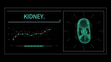 Vitalität im Bewegung animiert Gesundheit und Körper Untersuchung Vorlagen, Röntgen Video Klammern, und medizinisch Auswirkungen zum Krankenhaus und Klinik Präsentationen mit verschiedene Körper Teile