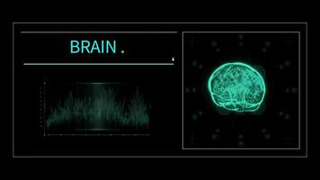 vitaliteit in beweging geanimeerd Gezondheid en lichaam controle Sjablonen, x-ray video clips en medisch Effecten voor ziekenhuis en kliniek presentaties met divers lichaam onderdelen