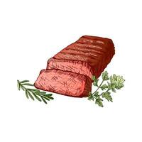 Organic food. Hand drawn colored vector sketch of grilled beef steak, piece of meat with rosemary and parsley. Vintage illustration. Decorations for menu. Engraved image.