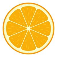 Orange slice. Citrus slice. vector