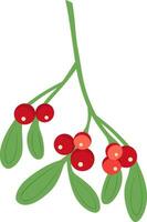 Branch of mistletoe with berries and red bow. A bouquet of Christmas. vector