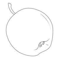 Apples line drawn on a white background. Vector sketch of the fruit.