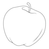 Apples line drawn on a white background. Vector sketch of the fruit.