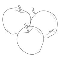 Apples line drawn on a white background. Vector sketch of the fruit.