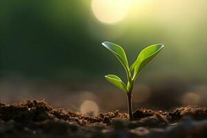 ai generado joven planta saltando arriba fuera de el suelo foto