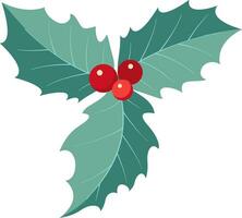 Christmas holly berry leaves. Christmas symbol vector illustration.