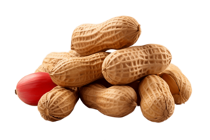 AI generated Peanut on Transparent Background. AI png