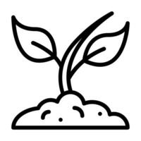 botany line icon vector