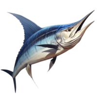 AI generated Blue Marlin Fish png