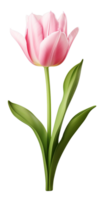 ai gerado lindo Rosa tulipa isolado png