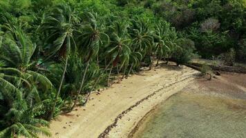 Aerial view of ocam ocam beach video