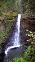 waterfall in the Carpathian mountains video